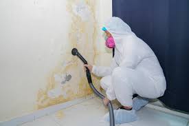 Asbestos and Lead Testing During Mold Inspection in Ridgemark, CA